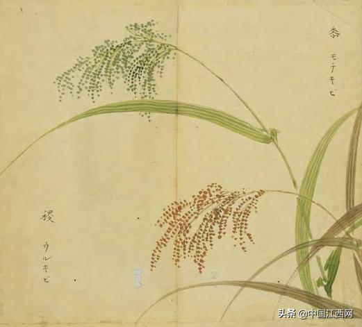 诗词美食文案_美食诗意_美食诗文