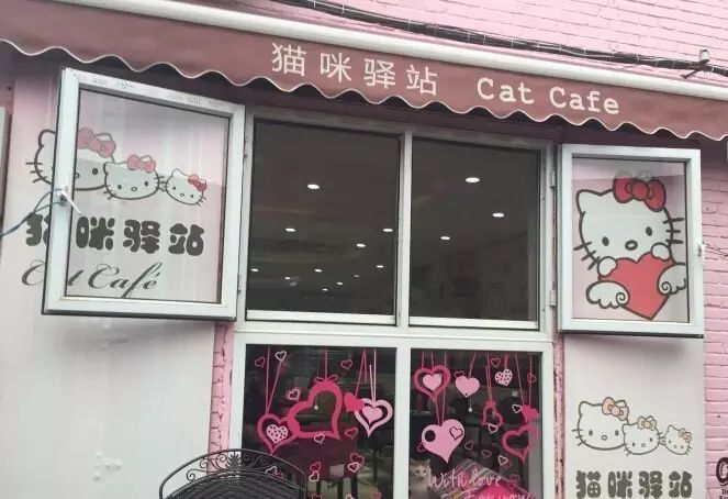 宠物咖啡店养什么宠物_dirtycafe宠物咖啡馆_带宠物上咖啡馆共度好时光