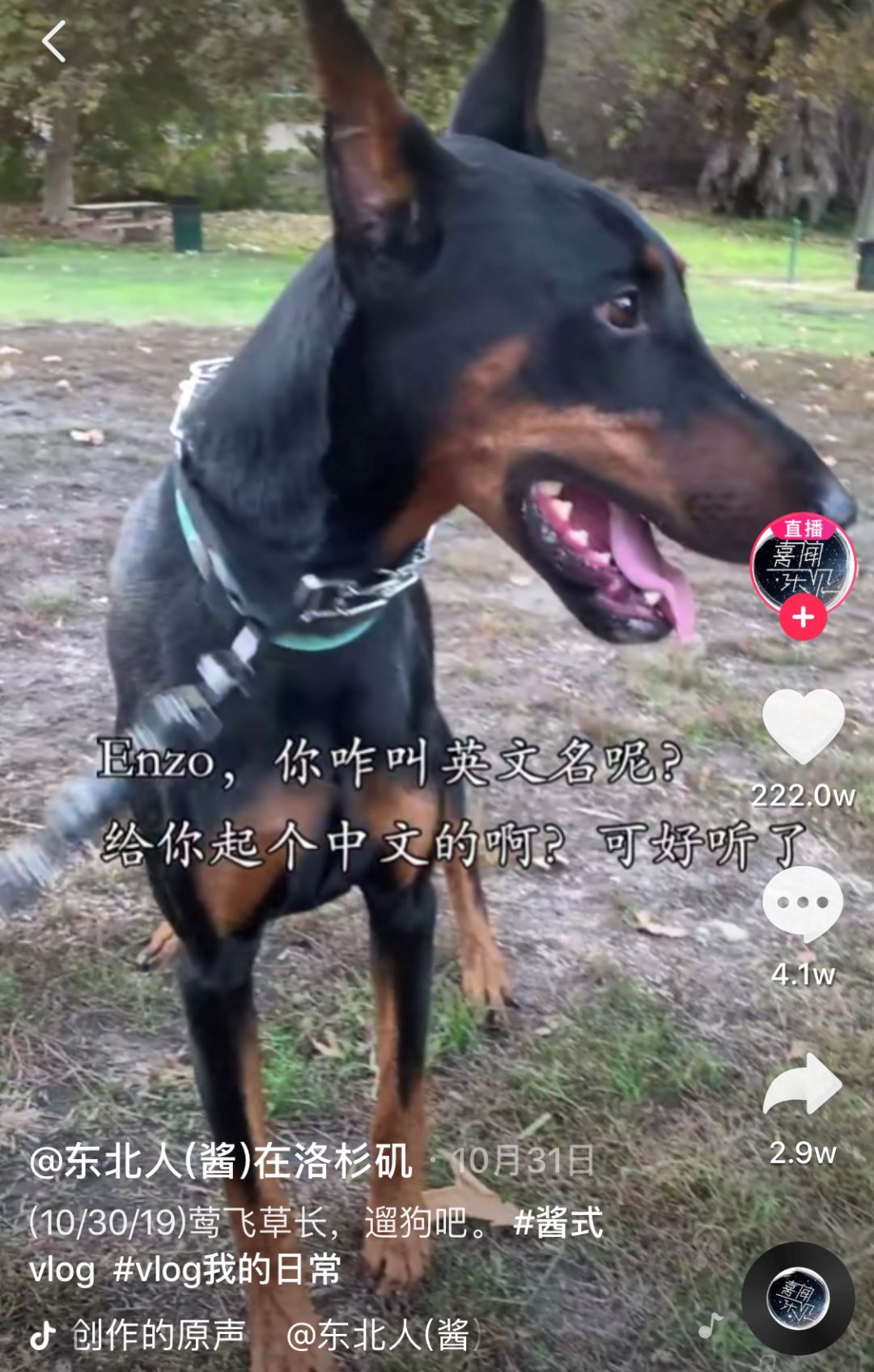 日常生活趣味拍摄技巧视频_视频趣味日常技巧拍摄生活照片_趣味视频怎么拍的